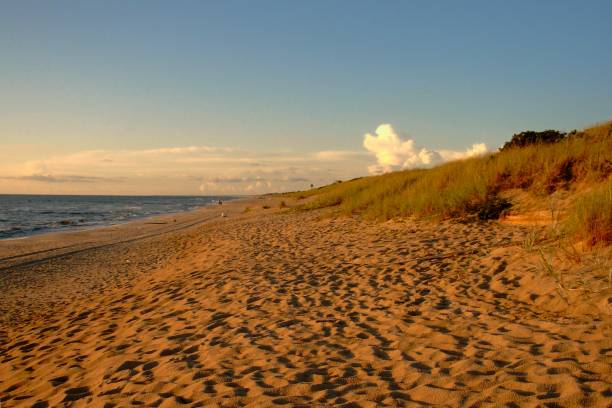 istock Sunset at the Curonian Spit National Park 1221626639