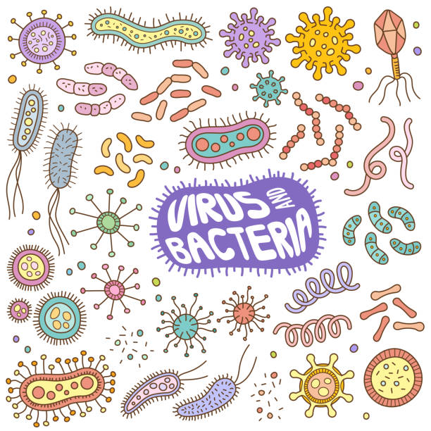 Virus De La Gripe Porcina Epidemia Ilustración Dibujo Animado Vectores  Libres de Derechos - iStock