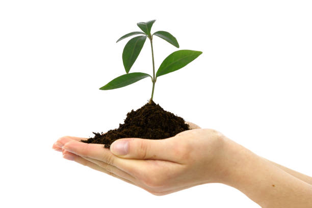 istock Environment and new life concept 1221630296