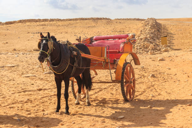 istock Horse chariot in desert 1221634890