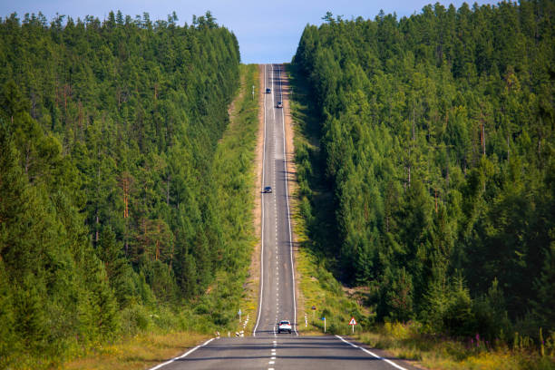 istock upward highway in the forest 1221635117