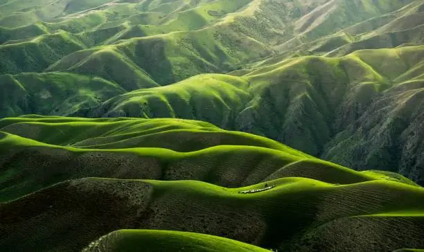 Green hill nature landscape