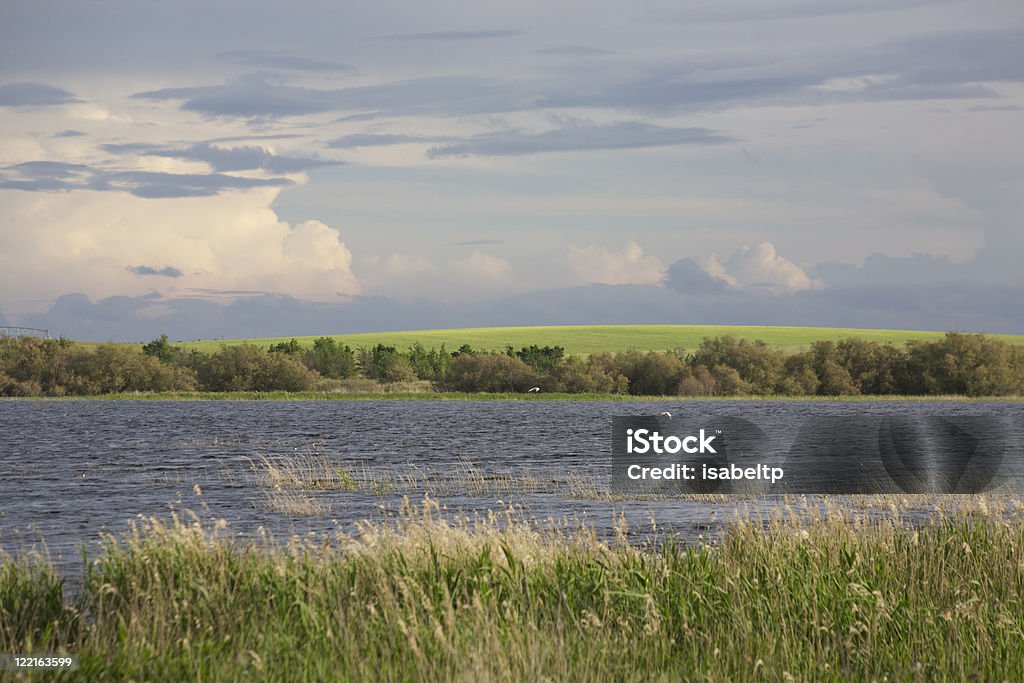 Storm clouds on the Tablas de Daimiel  Bird Stock Photo