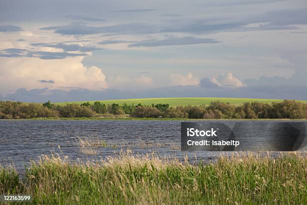 Storm Clouds On The Tablas De Daimiel Stock Photo - Download Image Now - Bird, Castilla La Mancha, Ciudad Real Province