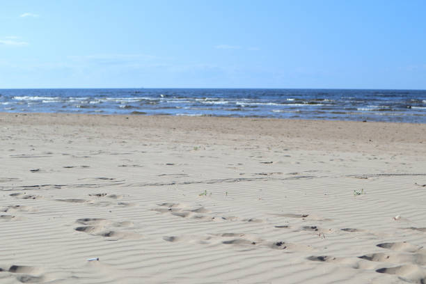 istock Wavy sand with footsteps on baltic sea coast 1221636640