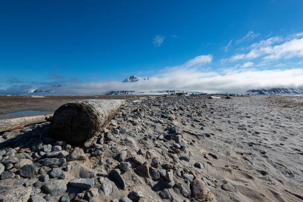 Rocks and mountain range of Snæfellsnes in the background