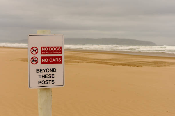 istock Sign on a beach warning that no dogs or cars are permitted beyond this point. 1221637496