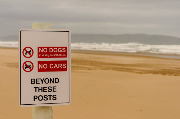 istock Sign on a beach warning that no dogs or cars are permitted beyond this point. 1221637528