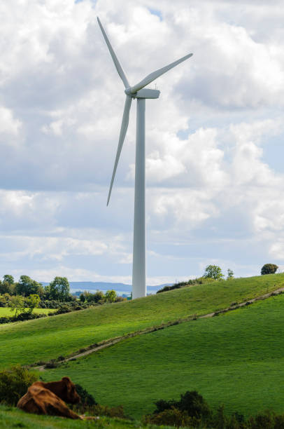 istock Wind turbine at Bindoo Wind Farm, Ireland 1221637578