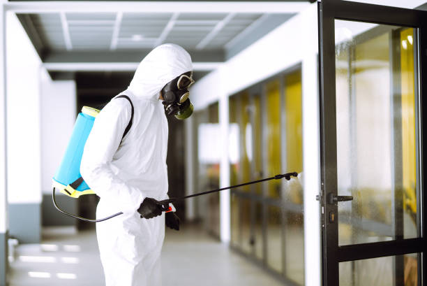 istock Disinfection of office to prevent COVID-19. 1221638302