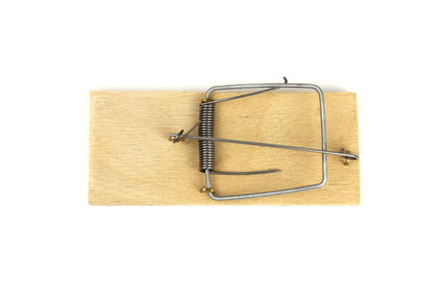 istock wooden mousetrap isolated on a white background 1221638494
