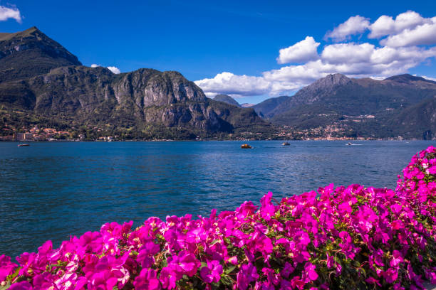 lago como e paisagem alpina de bellagio com flores de azaléia - lombardia, itália - european alps tirol rhododendron nature - fotografias e filmes do acervo