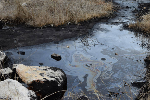 fosa de asfalto de agua de alquitrán natural en el humedal pantanoso - pollution oil oil slick water pollution fotografías e imágenes de stock