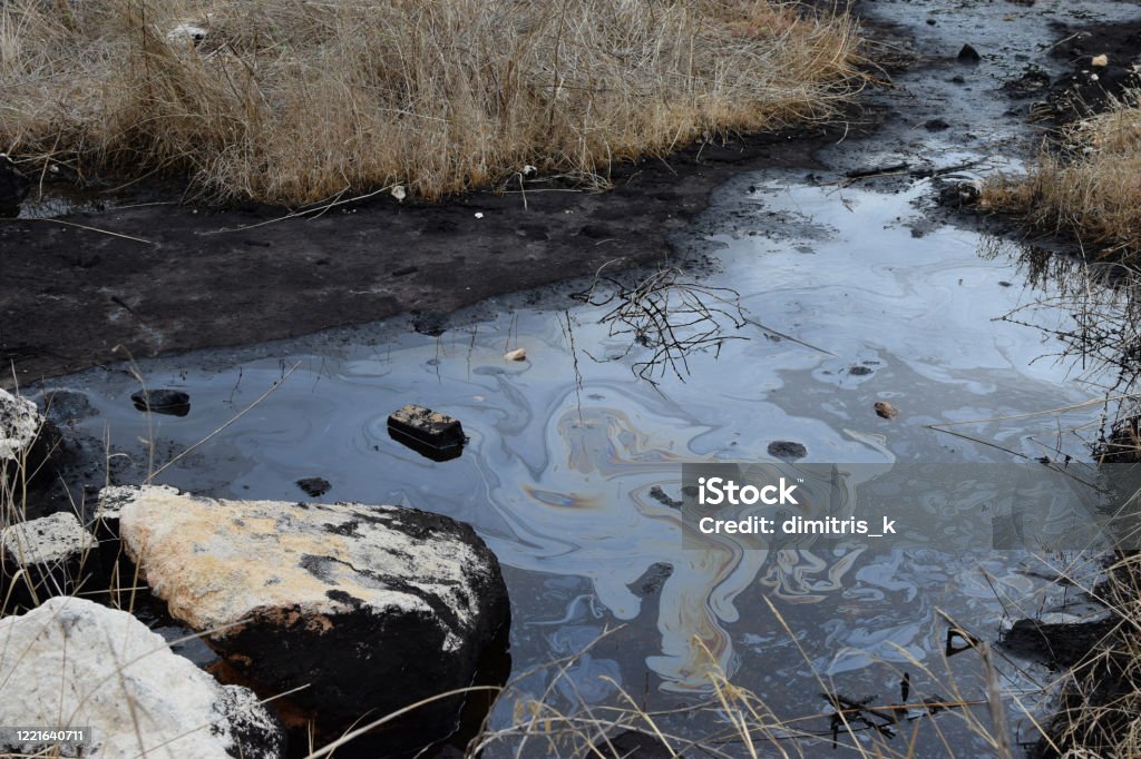 natural tar water asphalt pit in swamp wetland Natural tar water asphalt pit in swamp wetland. Oil Spill Stock Photo