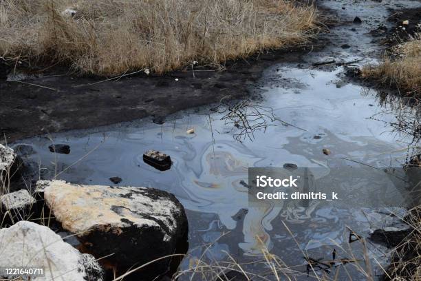 Natural Tar Water Asphalt Pit In Swamp Wetland Stock Photo - Download Image Now - Oil Spill, Pollution, Water