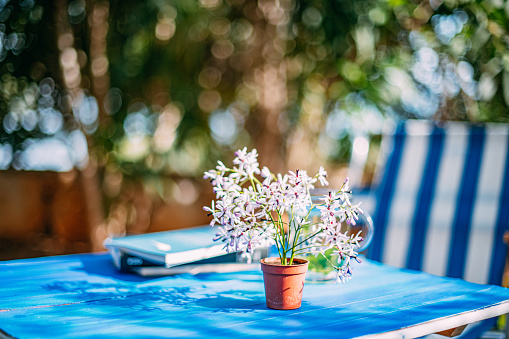 Garden Table With Flowers and Books On It