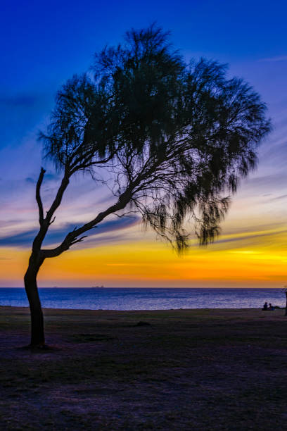 istock Three Silhouette Sunset Scene, Montevideo, Uruguay 1221642090