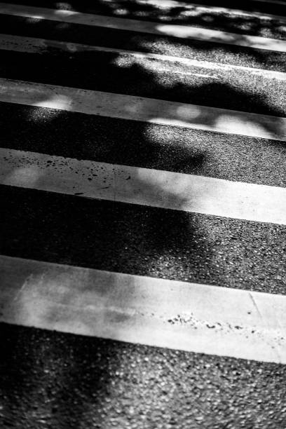 istock Black and white road crossing, asphalt in the shade 1221643186