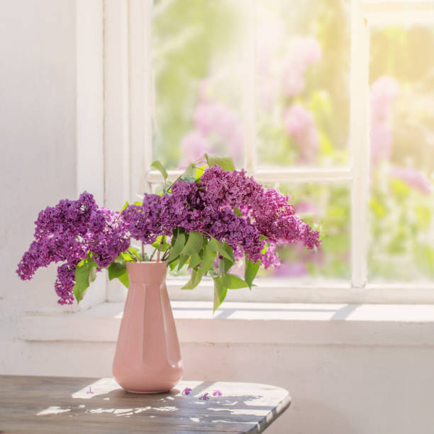 istock lilac in vase against the window on a sunny day 1221644713