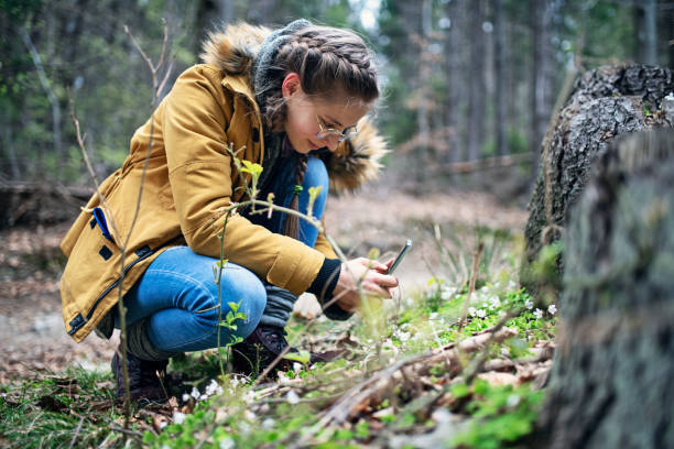 teenage girl taking photos of spring flowers in forest - nature photographer imagens e fotografias de stock