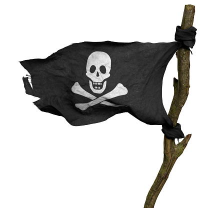 pirate flag on white background