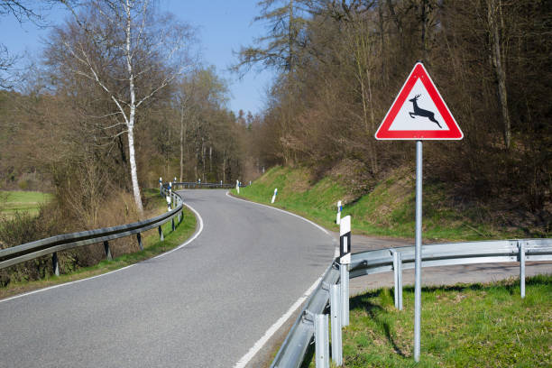 Paso de Linces road signal about lynx crossing road in Huelva near Donana Park of Andalusia in Spain