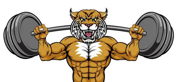 Vector illustration of Wildcat Mascot Weight Lifting Body Builder