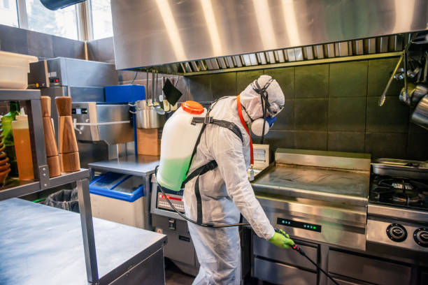 istock Profesional disinfector  , sprays disinfectants 1221649731