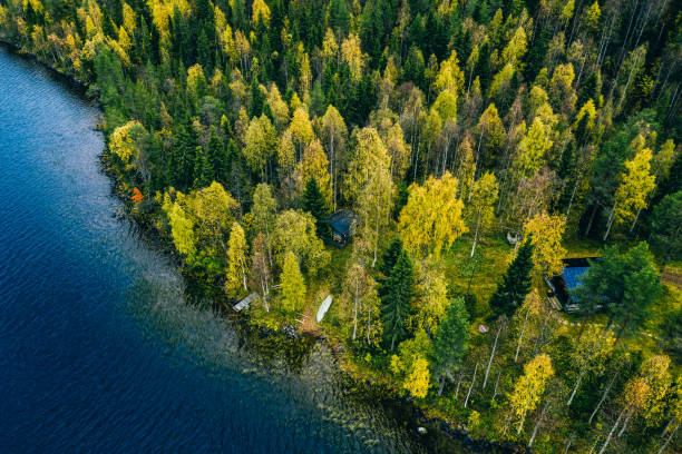 vue aérienne du chalet dans la forêt de couleurs d’automne par le lac bleu dans la finlande rurale - finland sauna lake house photos et images de collection