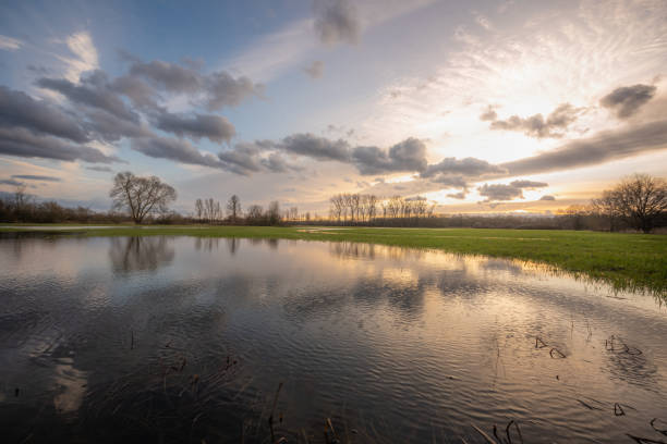 istock Cloudy sky reflecting in the water in flooded meadow 1221656566