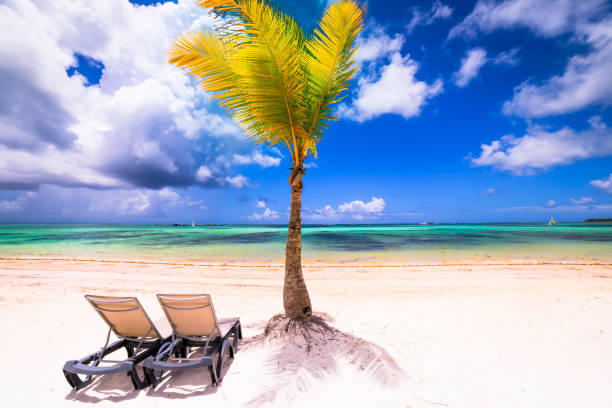 istock Two Beach chairs under palm trees in Saona – Punta Cana, turquoise Caribbean sea 1221663453