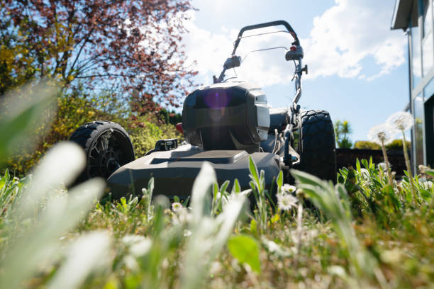 istock Low angle shot of high grass with mowing machine on sunny day 1221665954