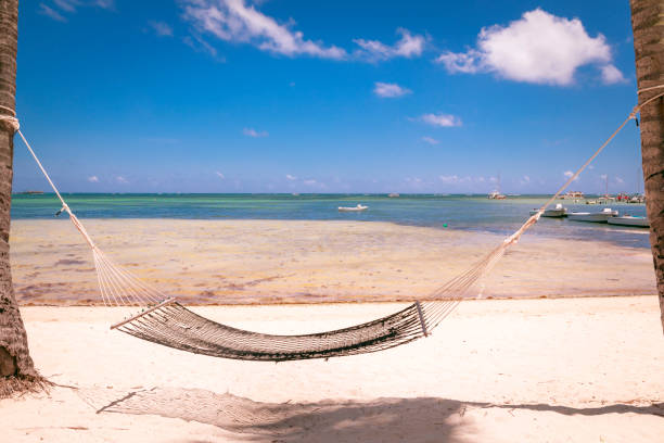 istock Empty hammock in Tropical Beach, Punta Cana - Saona Island, Caribbean 1221666361