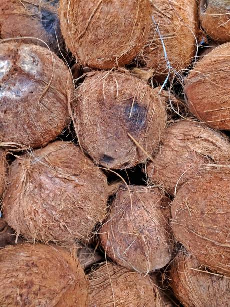 istock Poor looking brown coconuts on a supermarket gondola. 1221667291