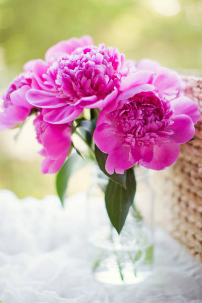 istock Beautiful pink peonies in a glass vase 1221668394