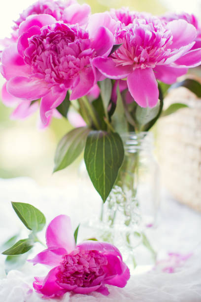 istock Beautiful pink peonies in a glass vase 1221668397