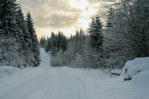 Snowy country road in a forest