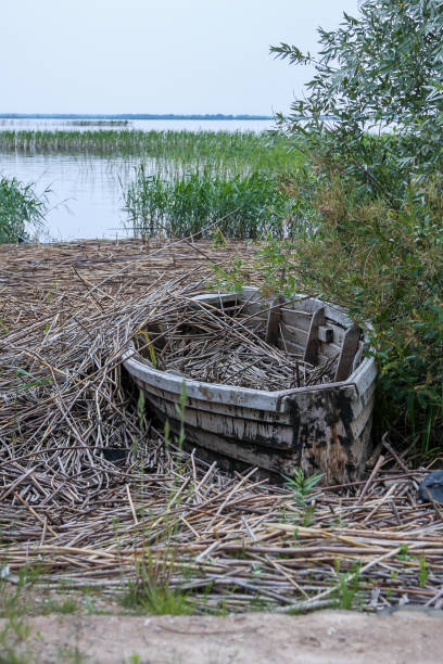istock Old rustic timber rowboat filled with straws abandoned next to a lake 1221668744