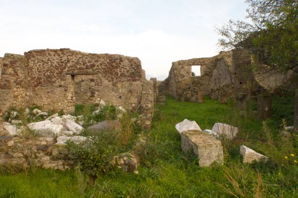 istock Ruins of Pompeii 1221670265