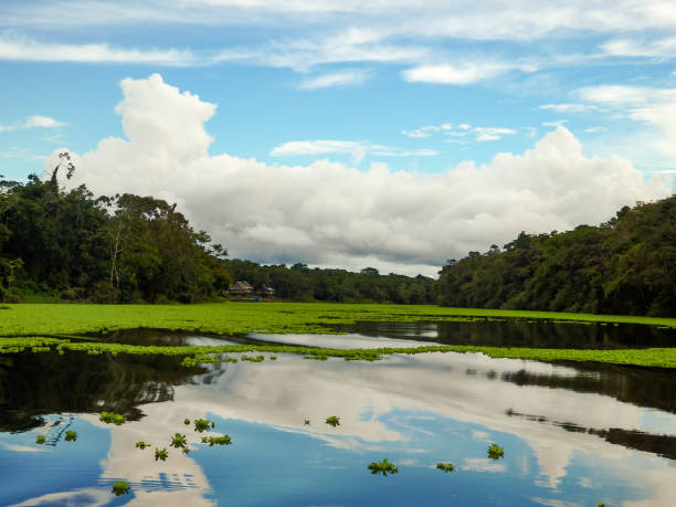 istock Blue sky and white clouds mirrored in the Maranon 1221670698