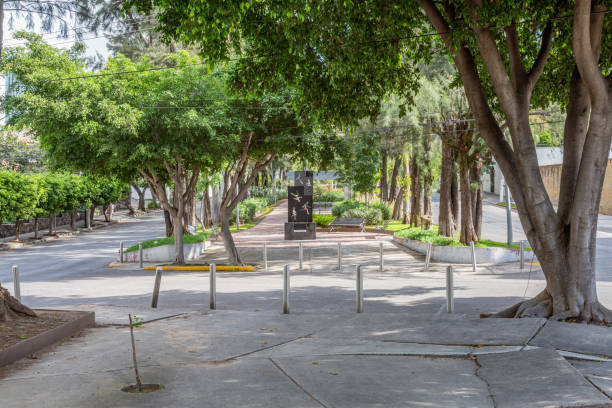 istock Editorial: Guadalajara, Jalisco / Mexico. Jan 4th. 2020. Medium strip or central reserve between an avenue with lush trees 1221672793