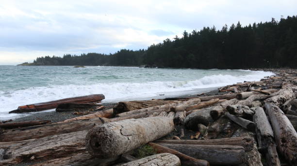 istock A Corner of Beautiful British Columbia 1221673935