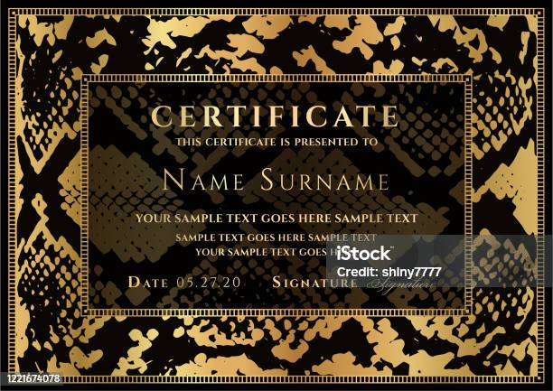Certificate Template With Animal Print Border Stock Illustration - Download  Image Now - iStock