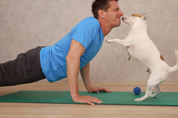istock Home workout and attention seeking dog. Challenge of coronavirus isolation lockdown 1221674247