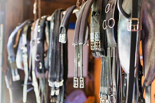 Close up photo of horse girth hanging on rack
