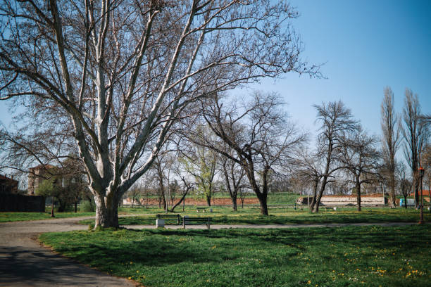 istock Sunny day in the park 1221675373