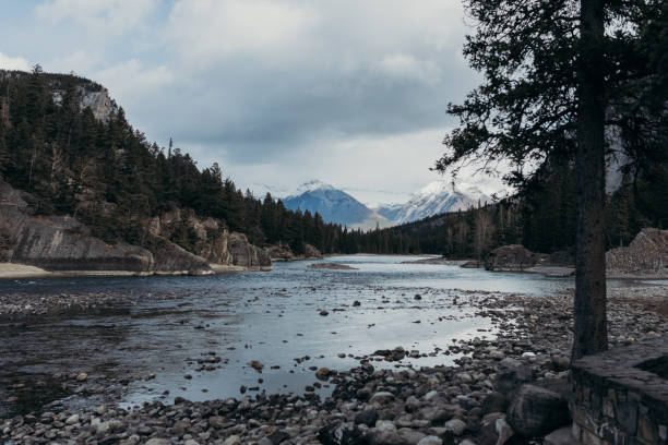 istock Winter landscape in Banff National park 1221677072