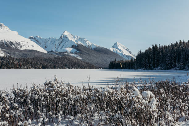 istock Winter landscape in Jasper National Park 1221677414