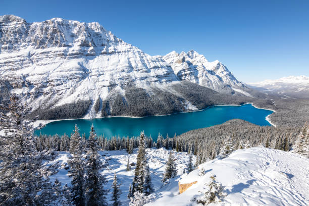 istock Lake Peyto in winter 1221677450