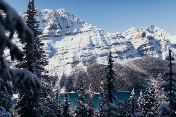 istock Lake Peyto in winter 1221678120